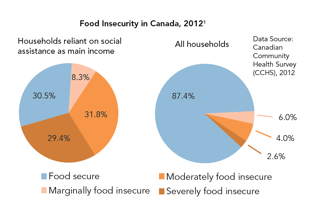 Comparison of food insecurity between all households and households relying on social assistance