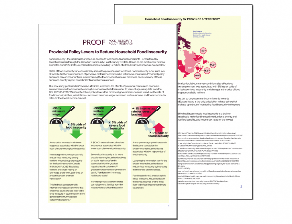 Screenshot of fact sheet: Provincial Policy Levers to Reduce Household Food Insecurity