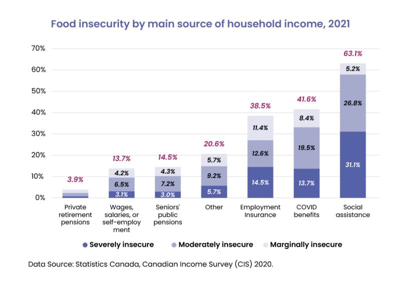 Bar graph of food insecurity by main source of income