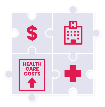 Puzzle pieces with symbols for food insecurity, health, healthcare use, and healthcare costs