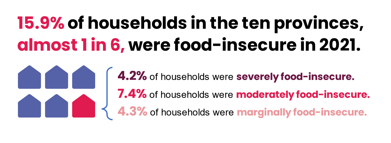 15.9% of households in the ten provinces, almost 1 in 6, were food-insecure in 2021