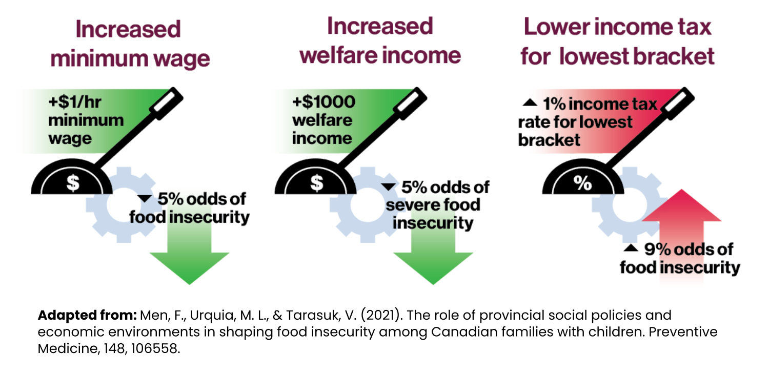 Our examination of social policies across the provinces determined that increases to the minimum wage, increase welfare incomes, and lower income taxes for low-income households reduce the risk of food insecurity.