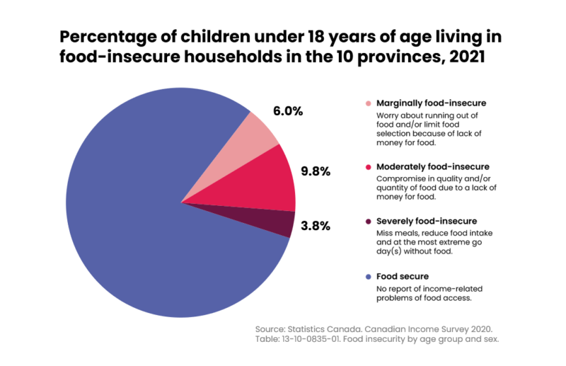 PROOF And Campaign 2000 Submits Brief To Standing Committee On Health   Children Pie 800x517 